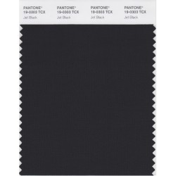 PANTONE Smart 19-0303X Color Swatch Card, JetBlack PANTONE Smart 19-0303X Color Swatch Card, JetBlack